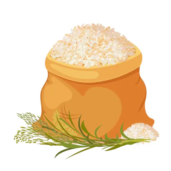 Rice